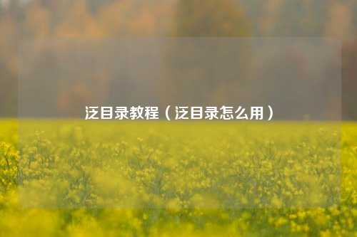 泛目录教程（泛目录怎么用）