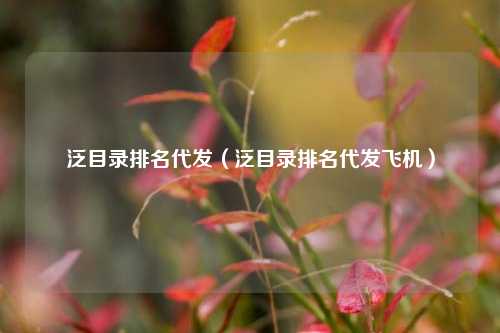 泛目录排名代发（泛目录排名代发飞机）