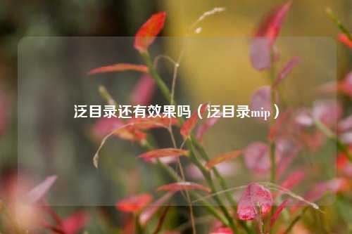 泛目录还有效果吗（泛目录mip）