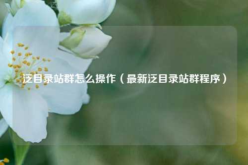 泛目录站群怎么操作（最新泛目录站群程序）
